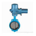 Center Line Butterfly Valve